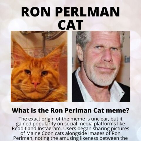 Ron Perlman Cat Breed & Meme