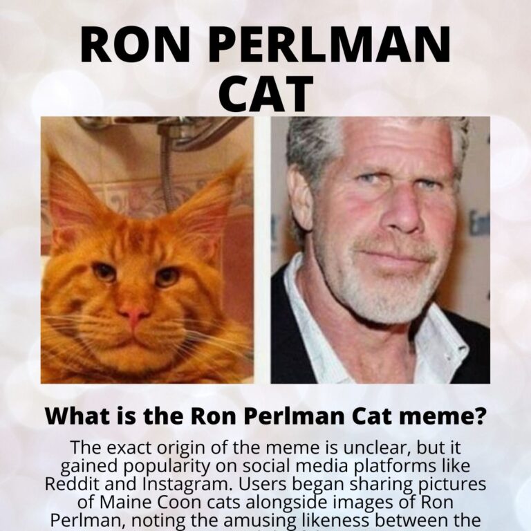 10 Amazing Facts Ron Perlman Cat: Breed & Meme