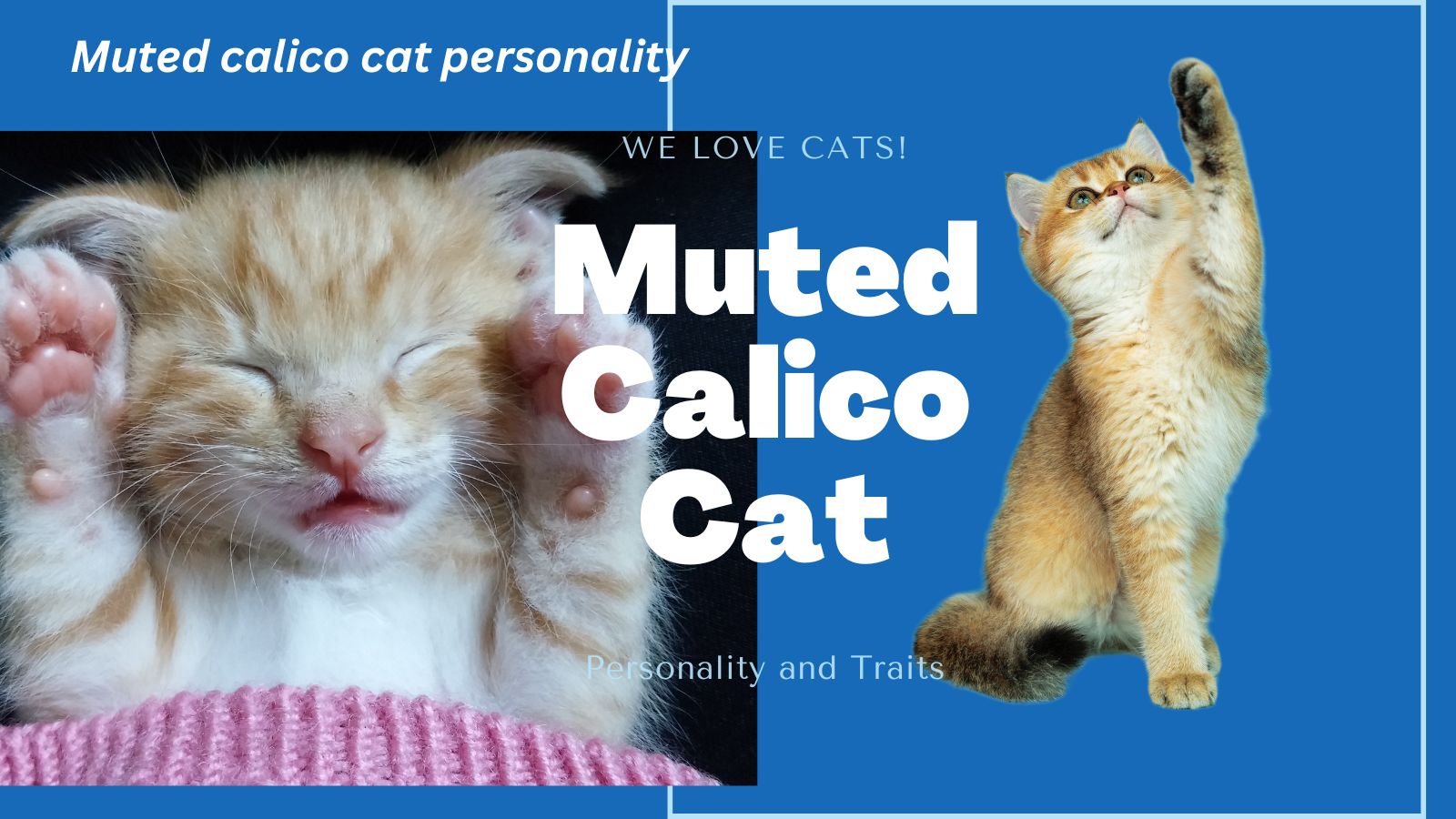 Muted Calico